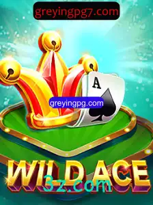 WildAce: Mergulhe na Aventura com Regras e Dicas do Jogo